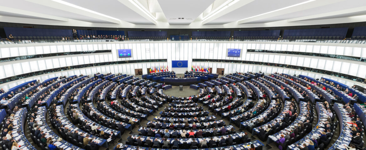 European Port Policy: time for the EP to decide is approaching
