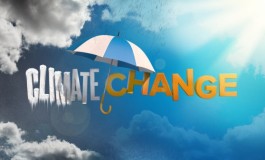 Climate change and adaptation planning for ports: The need for a new paradigm?