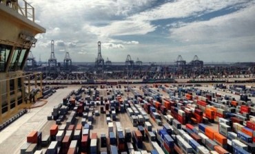 Networks and 'hidden families' in the container port industry