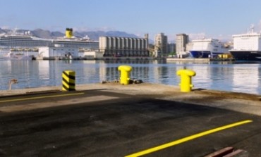 Cruise ports: structures and strategies