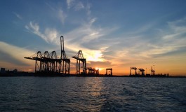Foreign entry strategies of terminal operators in container ports