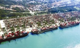 Investigating development of dry ports in Brazil: lessons learnt