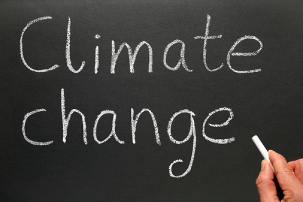 How is business adapting to climate change impacts appropriately? Insight from the commercial port sector