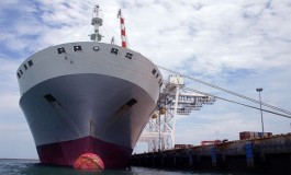 Modelling port choice in an uncertain environment