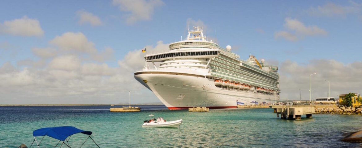 Cruise ports and sustainability: contemporary issues