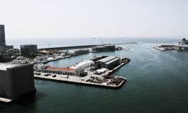 Port collaboration beyond proximity: inter–organisational relationships of port management entities