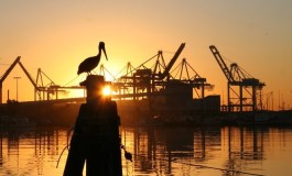 Tackling uncertainty in green pricing of port infrastructure