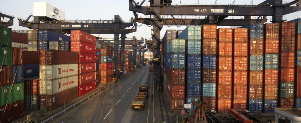 What is the future for small container ports?