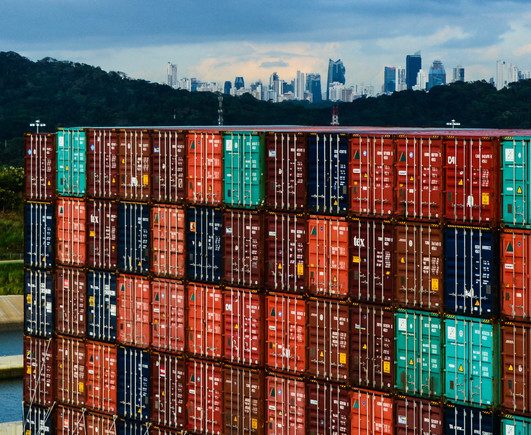 Port throughput allocation in the portfolio framework