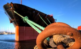 Revisiting port governance and port reform: a multi-country examination