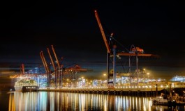 The relationship between port choice and terminal involvement of alliance members in container shipping