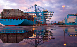 Evolution of container throughput in European ports between 1985-2016