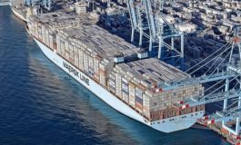 Mapping the globe: the patterns of megaships