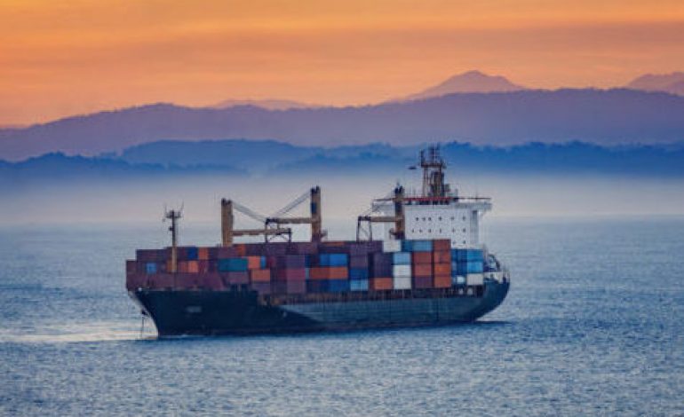 Port state control in the EU: do inspectors' number & background matter?