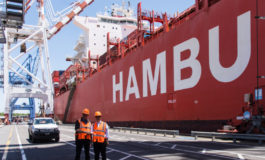 Marketing of port authorities: a novel conceptualisation