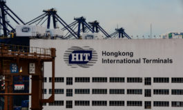 Geography and institutional change: insights from a container terminal operator