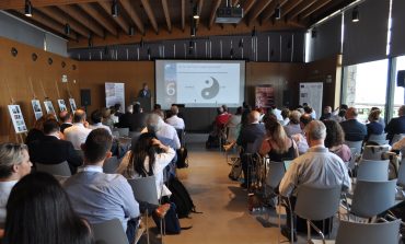 The 'Yin' and 'Yang' of port governance