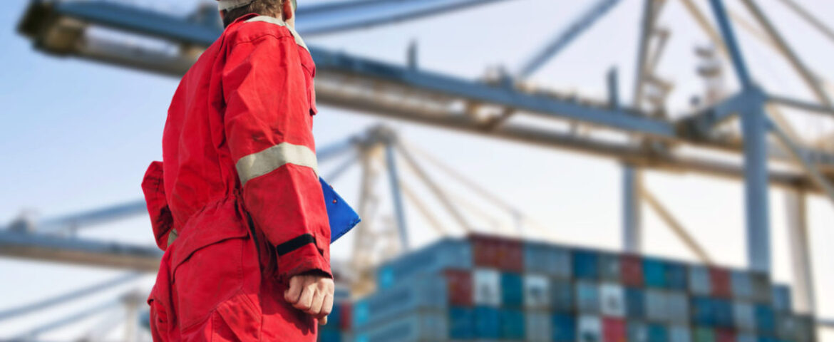 Port labour: drivers of change
