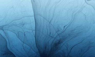Special issue on port strategy for sustainable development: circularization and value creation