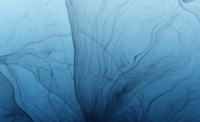 Special issue on port strategy for sustainable development: circularization and value creation