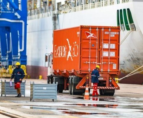 The impact of innovation on dock labour: evidence from European ports