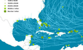 Cruise shipping supply chains and the impacts of disruptions: the Caribbean