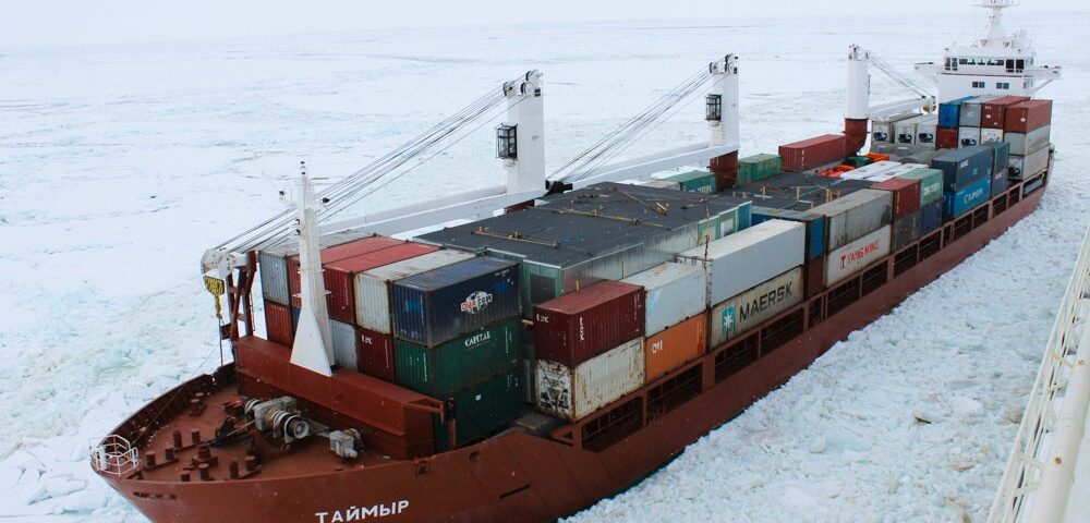 An evaluation of autonomous ship alternatives for future container shipping in the Arctic routes