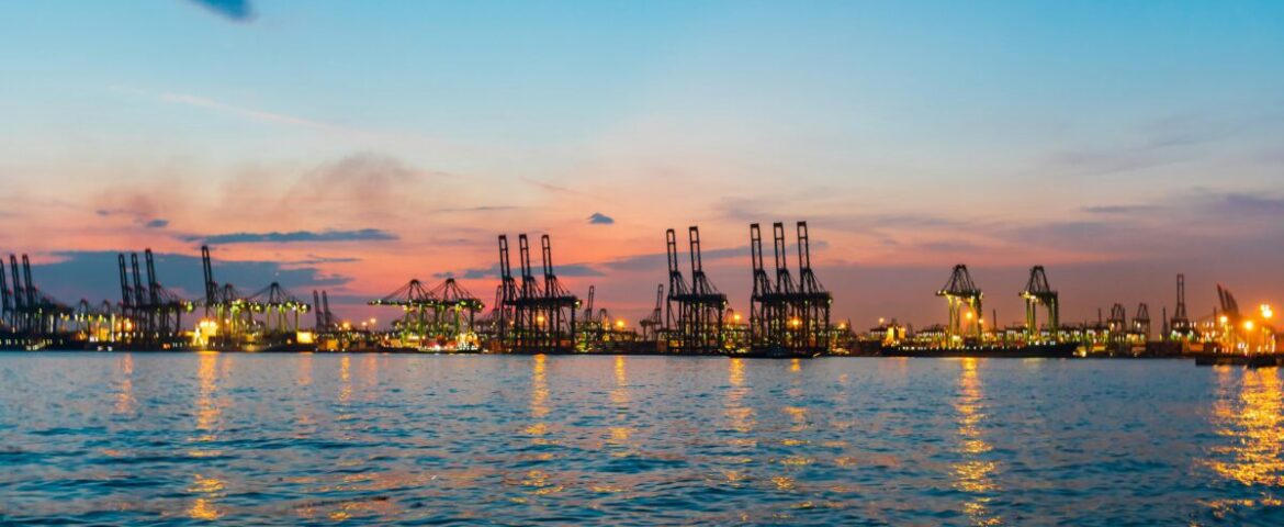 Renewable energy options for seaport cargo terminals with application to mega port Singapore