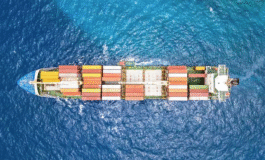 Book chapter: Maritime transport in net zero