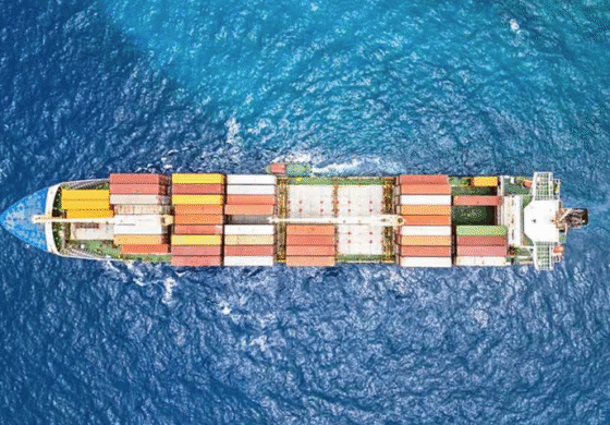 Book chapter: Maritime transport in net zero